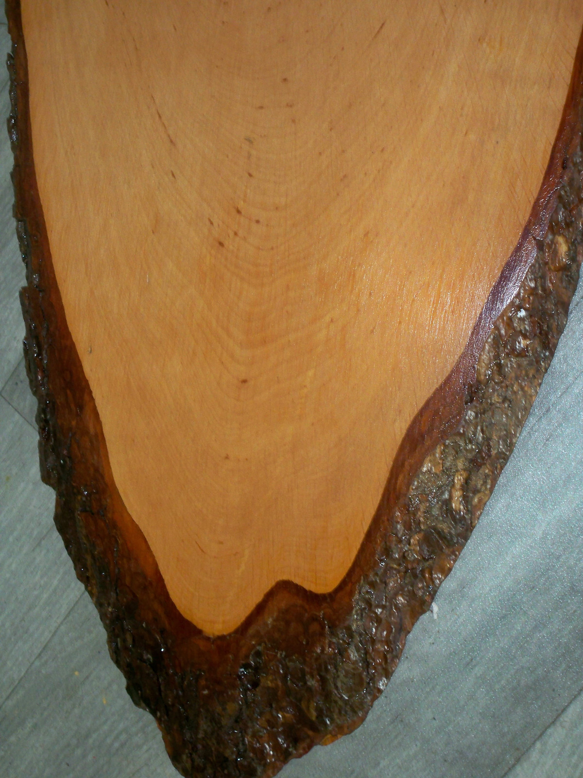 Bild 3 von 5