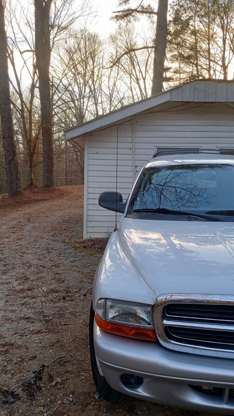Picture 3 of 12