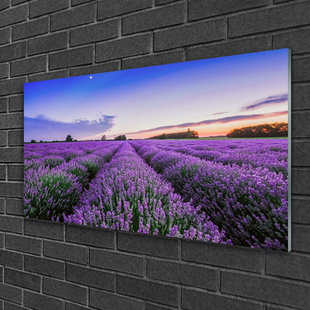 Tableau sur verre Image Impression 100x50 Nature Prairie Fleurs Tableau sur verre Image Impression 100x50 Nature Prairie Fleurs