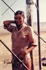 Raquel Welch Sexy At The Desert 8x10 Picture Celebrity Print