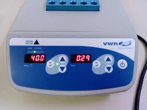 VWR Riscaldatore digitale 1 blocco 12621-084 949300 con blocco a secco - Foto 3 di 6