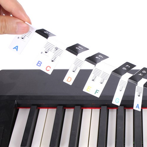 Removable 88 Key Piano Keyboard Note Labels Colorful Notes Guide Letters St OU - Picture 9 of 22