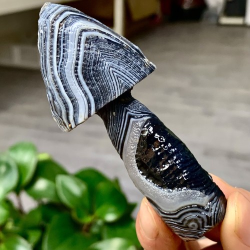 86G Natural Gobi Thousand Eyed Agate mushroom Shape Reiki Chakra Healing - Picture 1 of 23