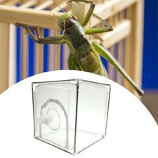 Butterfly Habitat Cage Rearing Cage 150 Fine Mesh Stainless Steel Bracket