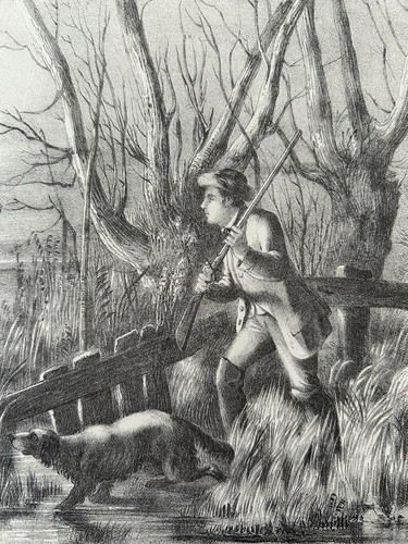 Antique Wild Duck Shooting Print c1880s – Large Engraving – Field Sports - Picture 13 of 15