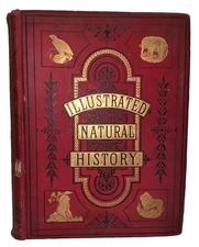 1890, THE ROYAL NATURAL HISTORY, ZOOLOGY, ANDREW WILSON, w CHROMOLITHOGRAPHS