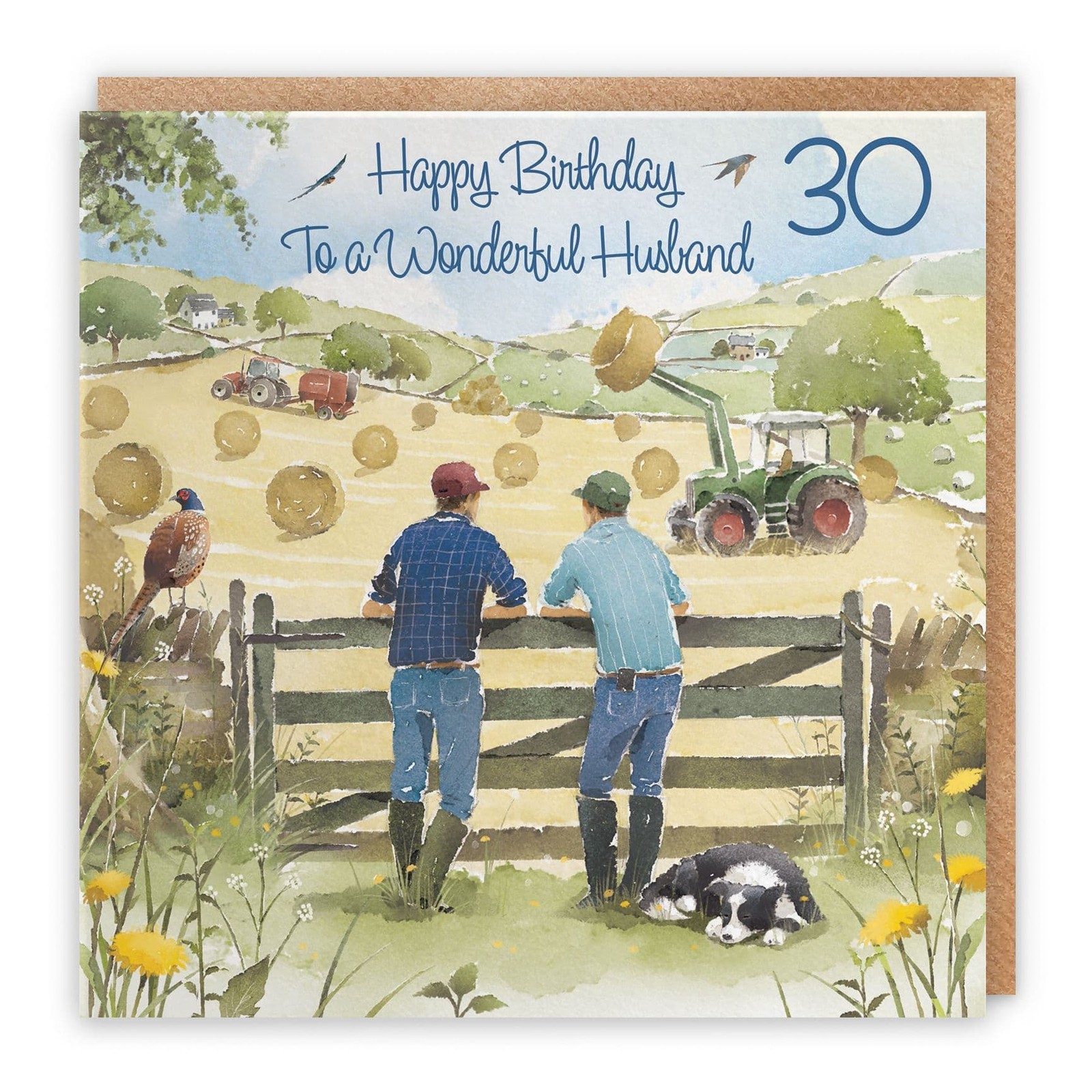 30th Husband Birthday Card Haymaking Milo's Gallery
