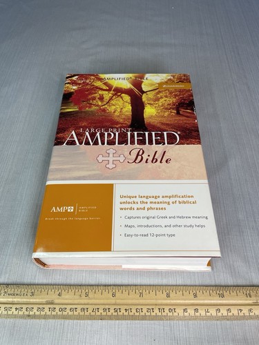 AMP CLASSIC VERSTÄRKTE BIBEL HARDBACK GROSSDRUCK 1987 Zondervan **hat Karten**