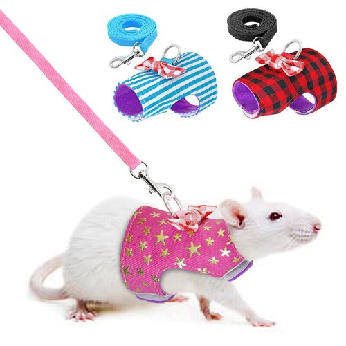 Leash Ferret Harness Guinea Pig Hamster Squirrel Rat Rabbit Clothes - Picture 3 of 15