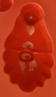 Picture 4 of 4