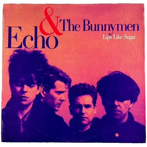 Ian McCulloch ‎(Echo & The Bunnymen) Slideling / Cooking