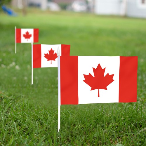 Anley Canada Mini Flag 12 Pack Hand Held Small Miniature Canadian Flags on Stick - Picture 4 of 7