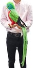Bild 7 von 7