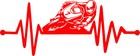 Bild 9 von 16