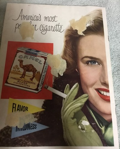 Harry Agganis Program 1951 Boston University Tops Pacific Fenway PK/2 Tickets🏈 - Picture 4 of 7