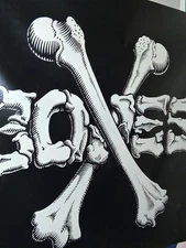 Powell Peralta Cross Bones Vinyl Banner Hawk, Mountain, Mcgill, Cab, Guerrero