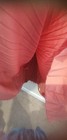 Bild 7 von 10