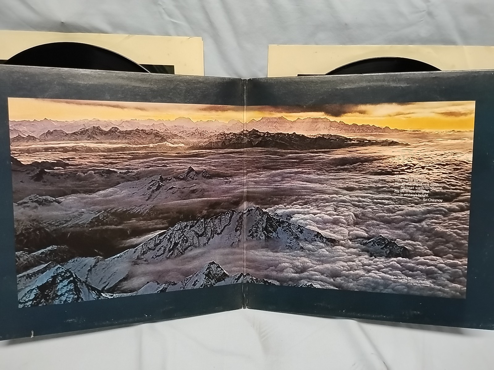 Picture 3 of 7