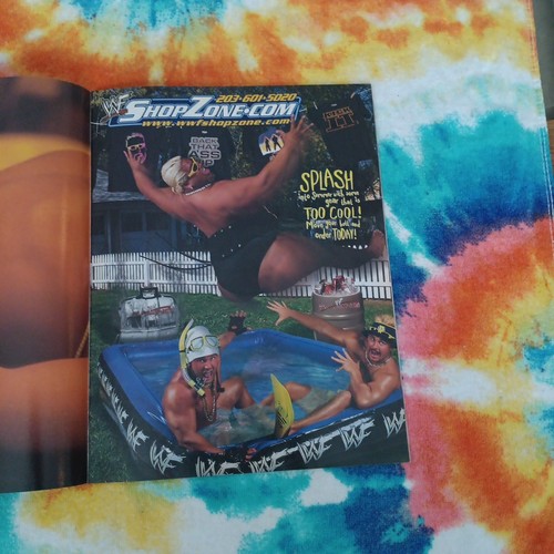 WWF RAW Magazine JULY 2000 Bubba Ray & D-Von Dudley Boyz With Trish Poster WWE - Picture 19 of 24