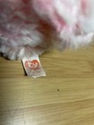 Foto 7 di 10