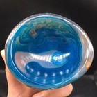 Picture 5 of 21