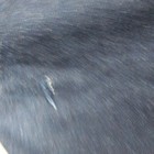 Foto 11 di 19