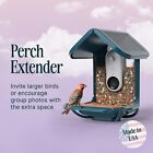 Blue Perch Extender – Add-On Accessory for Birdbuddy outdoor bird feeder
