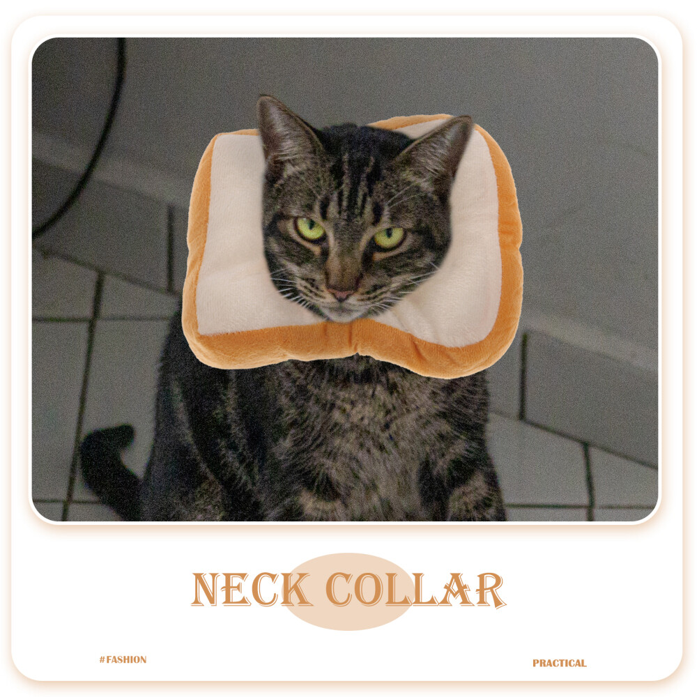 Dog neck cheap cone decorated
