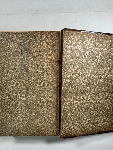 Darwin Geology South America 1878 German 1st Ed. w/ Map & Plates, Complete - Picture 5 of 14