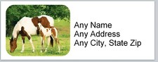 Personalized Address Labels Western Horse  ac 661 