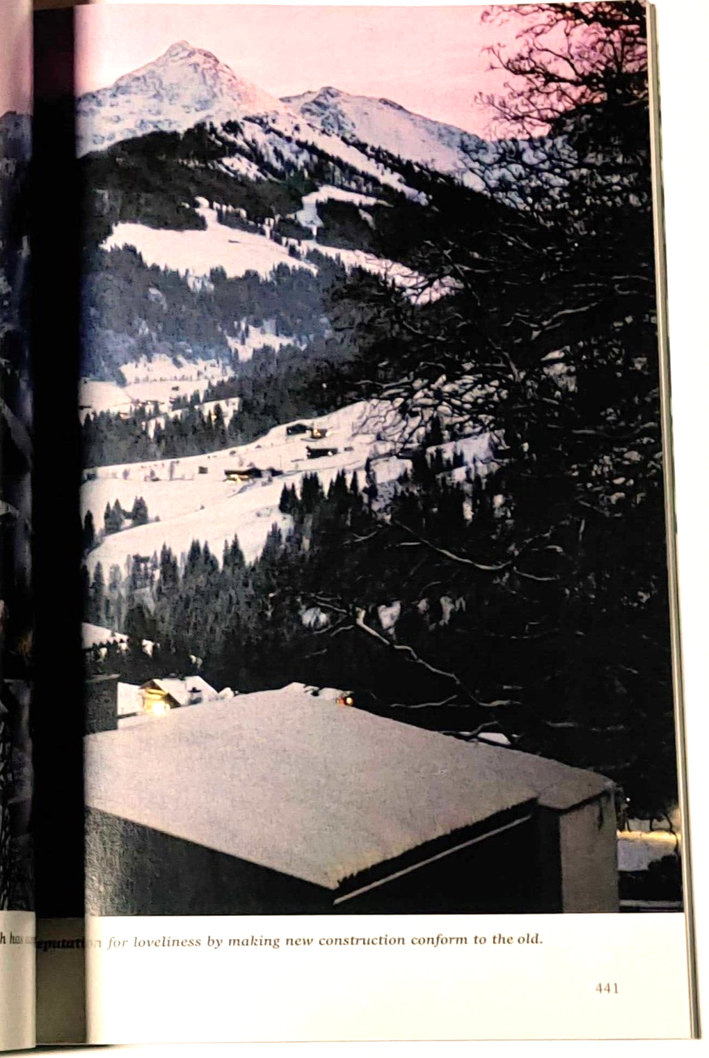 Picture 10 of 12