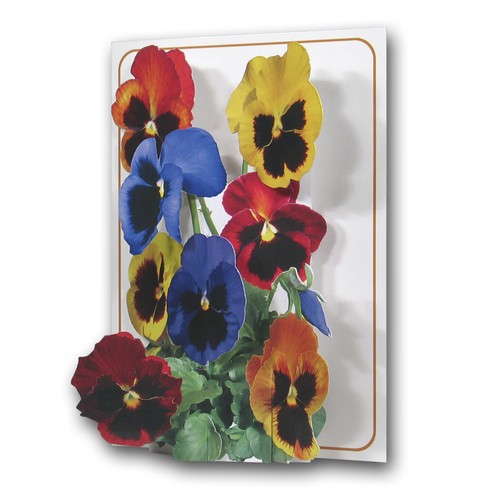 Pictoria Press 3D Pop Up Greeting Card Flower Collection Birthday Any occassion - Picture 29 of 37
