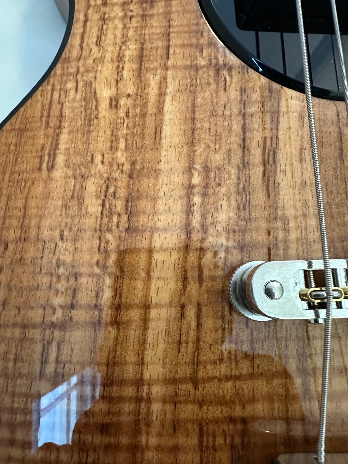 Picture 8 of 8