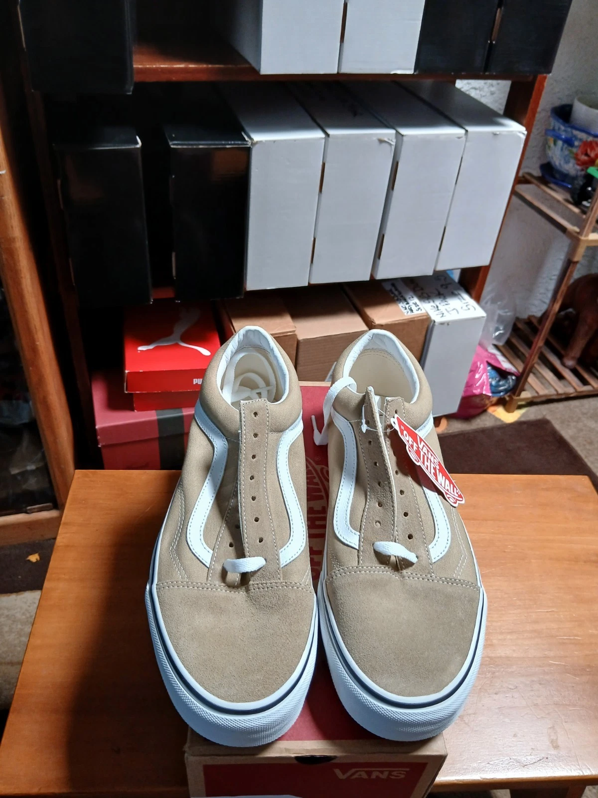 Taglia 11 VANS Oldol Skooltalk