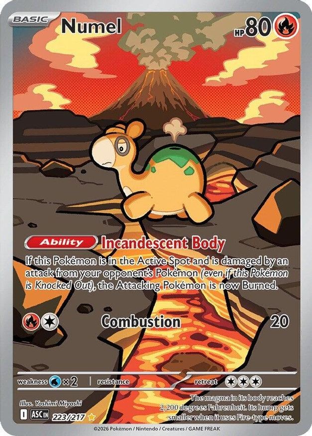 Pokemon Numel (223/583) Ascended Heroes NM HOLO