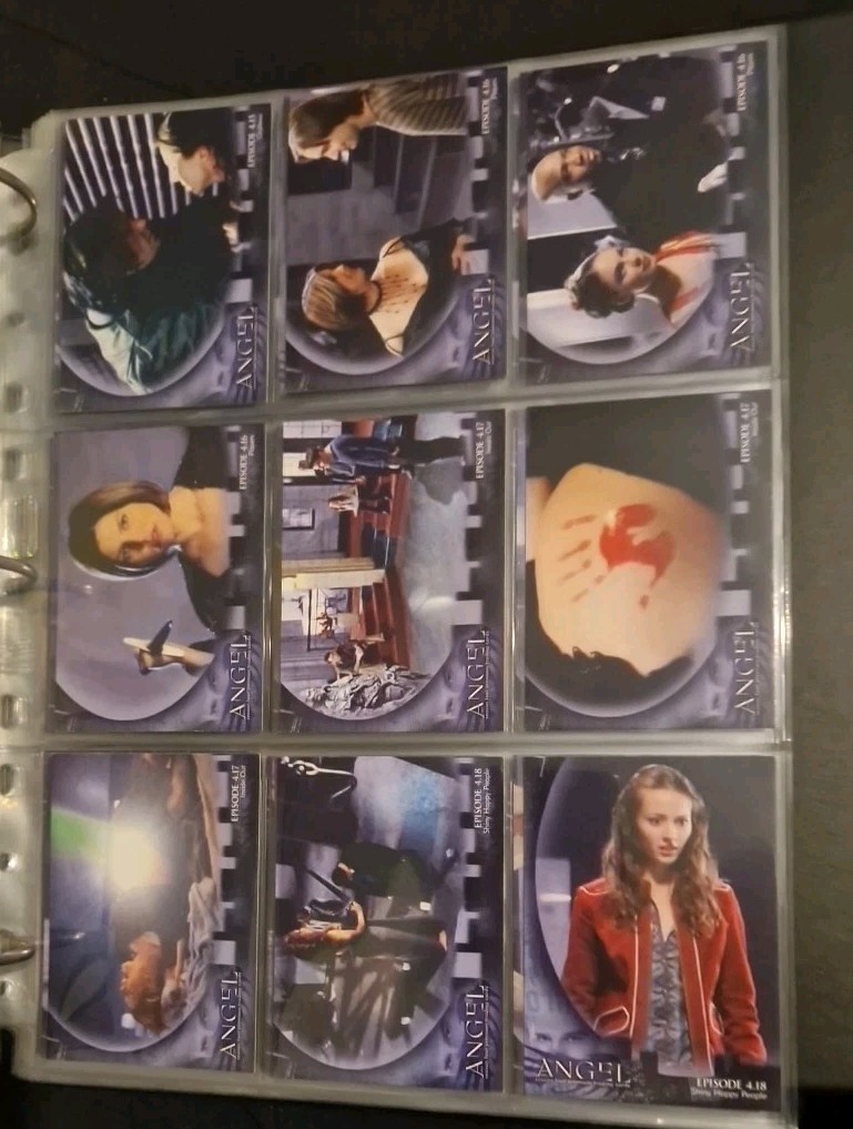 Picture 12 of 19