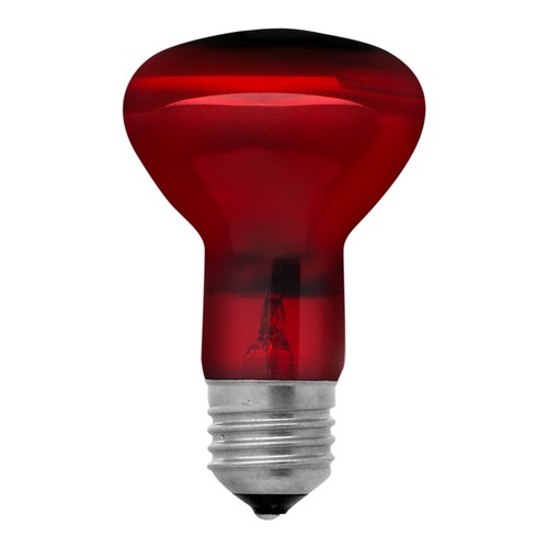 Reptile Systems Infrared Heat Lamp, E27 Infrarot Wärmelampe 50W Reptilien Lampe - Bild 2 von 2
