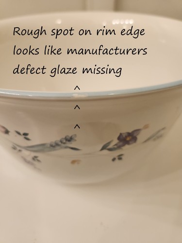 PFALTZGRAFF APRIL GROSSE SERVIERSCHALE 5 QUART 20 TASSEN CREMEFARBEN BLUMEN SEHR GUTER ZUSTAND - Bild 7 von 7