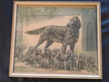 Adelaide Hiebel Print Hunter Dog AKC  Irish Setter 1938 A Family Of Champions
