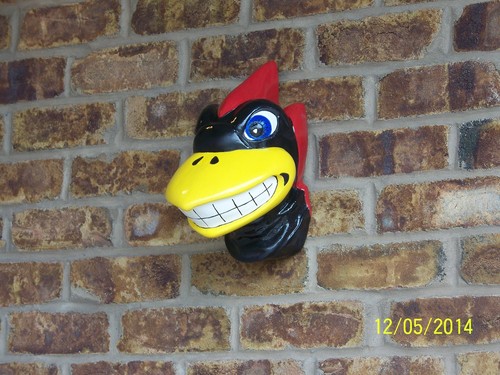 Iowa State University Keramik Cy Maskottchen Kopf Replik