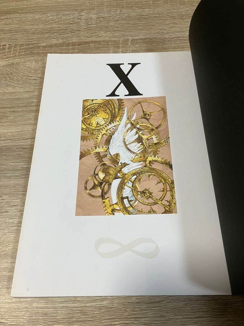 X Illustrated Collection 2 X Infinity Clamp Japan Anime