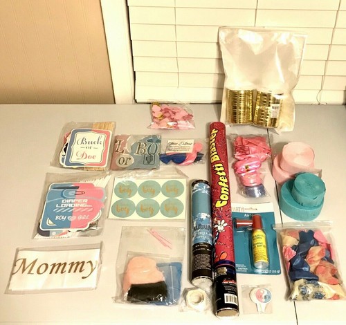 Gender Reveal Baby Shower Party Decorations Supplies - Picture 8 of 8