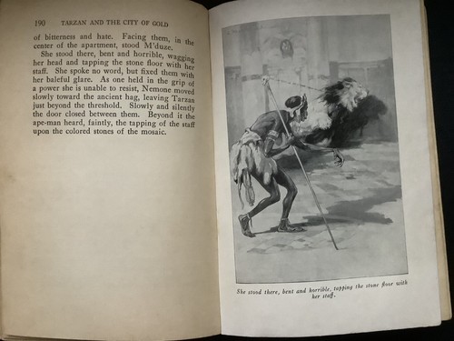 Edgar Rice Burroughs TARZAN AND THE CITY OF GOLD 1st Edition 1933 - Picture 10 of 15