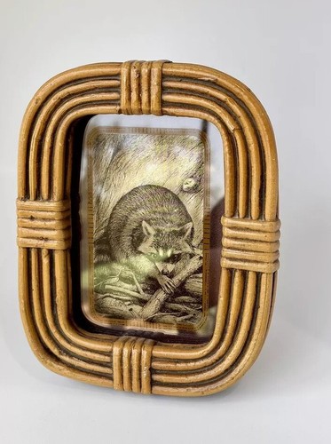1976 RACCOON ART PICTURE LUCID LINES ETCHED SIGNED R WHITE VTG CABIN MCM - Picture 2 of 23