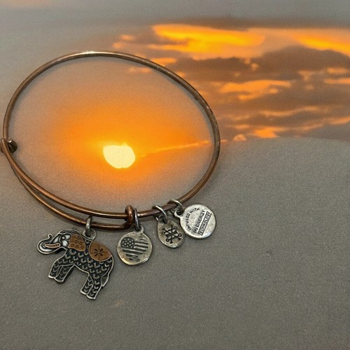 Alex And Ani 2019 Rose Gold Elephant Charm Bracelet - Picture 2 of 2