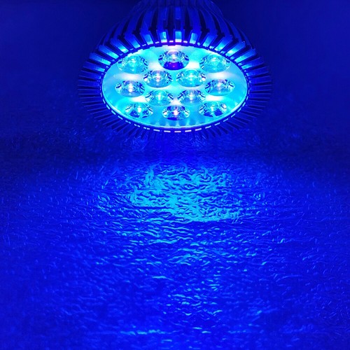 36W PAR38 Blue Cyan 495nm 450nm 470nm LED Lamp Light Spot Bulb Plant Aquarium - Picture 8 of 11