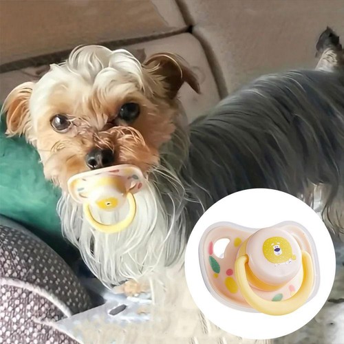 Bite Resistant Pet Calming Pacifier Silicone Clean Teeth Puppy Toys C - Picture 6 of 17