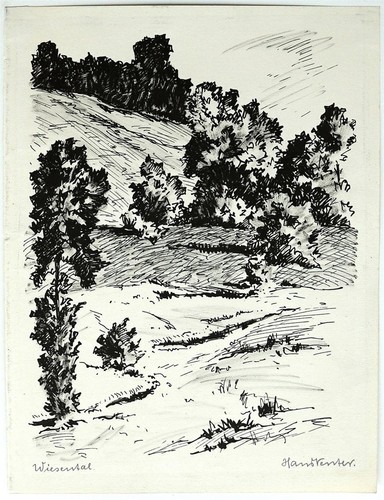 Hans Venter paisaje bosque Wiesental firmado tinta dibujo principios del siglo XX - Imagen 2 de 3