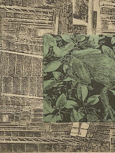 2002 SIGNED CONTEMPORARY MODERNIST ABSTRACT FROG TOAD COLORED ETCHING 27/51 - Picture 3 of 12