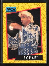 1991 Impel WCW #36 Ric Flair (X)